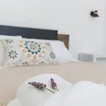 Glyfa Village Apartment Drios