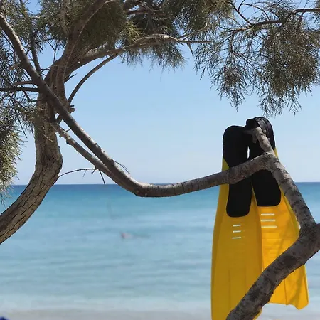 Glyfa Village 드리오스