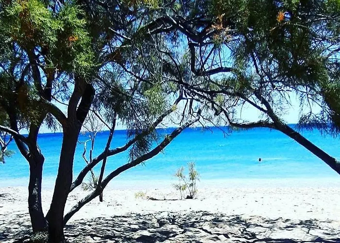 Glyfa Village Δρυός