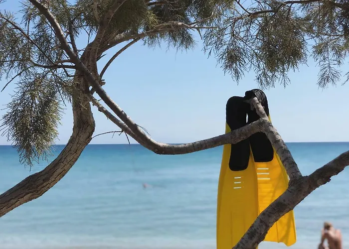 Glyfa Village Δρυός